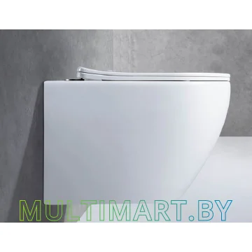 Унитаз CeramaLux 2196-1 картинка 3